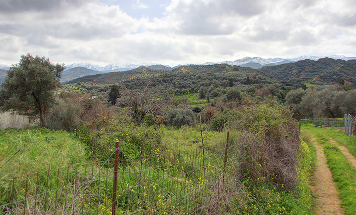 ECKIGES, QUADRATISCHES UND KAHLES GRUNDSTÜCK IN EINER DORFZONE