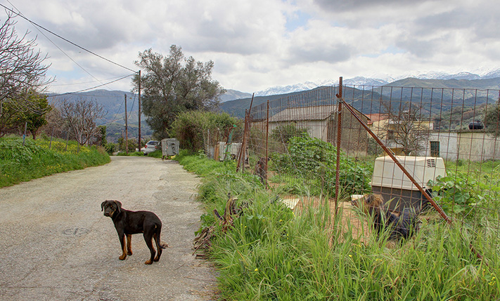 ΓΩΝΙΑΚΟ, ΤΕΤΡΑΓΩΝΟ ΚΑΙ ΧΕΡΣΟ ΕΝΤΟΣ ΟΙΚΙΣΜΟΥ