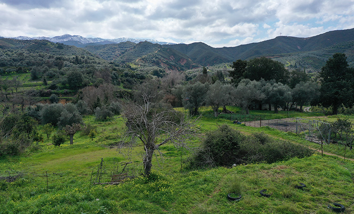 CORNER, SQUARE AND BARE PLOT IN A VILLAGE ZONE