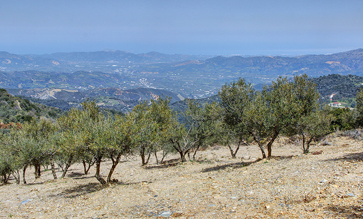 ΕΠΑΓΓΕΛΜΑΤΙΚΗ ΕΚΤΑΣΗ ΣΕ ΗΜΙΟΡΕΙΝΗ ΠΕΡΙΟΧΗ