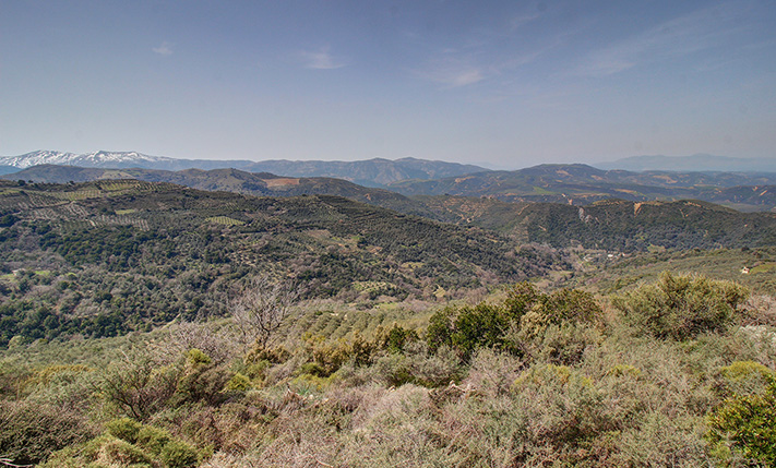 ΕΠΑΓΓΕΛΜΑΤΙΚΗ ΕΚΤΑΣΗ ΣΕ ΗΜΙΟΡΕΙΝΗ ΠΕΡΙΟΧΗ