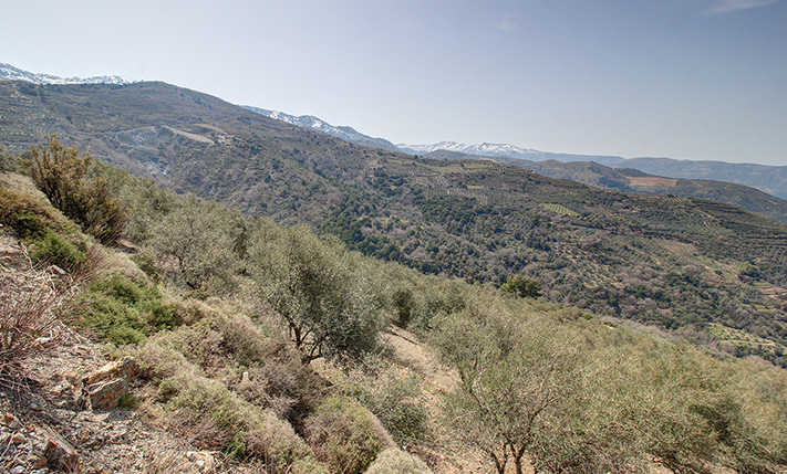 ΕΠΑΓΓΕΛΜΑΤΙΚΗ ΕΚΤΑΣΗ ΣΕ ΗΜΙΟΡΕΙΝΗ ΠΕΡΙΟΧΗ