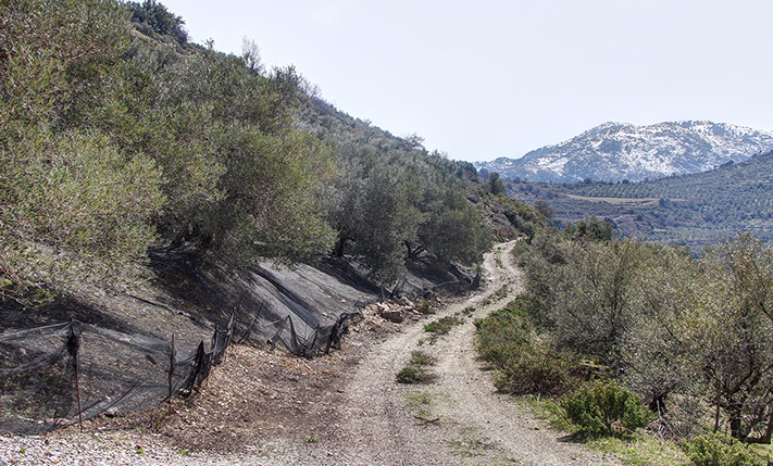 ΕΠΑΓΓΕΛΜΑΤΙΚΗ ΕΚΤΑΣΗ ΣΕ ΗΜΙΟΡΕΙΝΗ ΠΕΡΙΟΧΗ