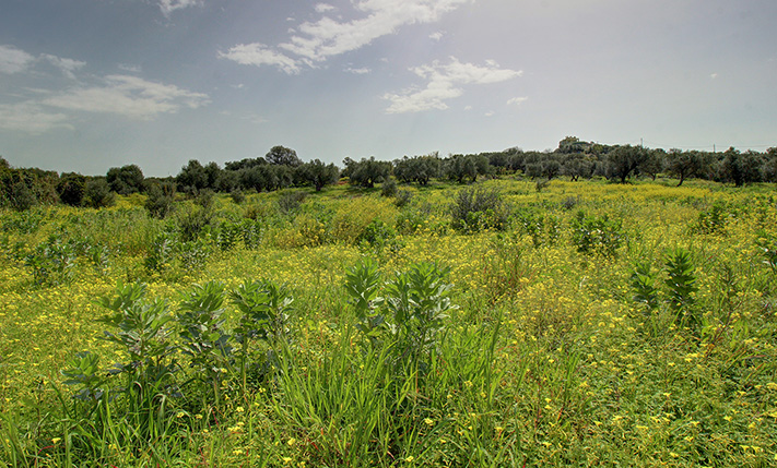 ΕΚΤΑΣΗ ΔΙΠΛΑ ΣΕ ΡΕΜΑ ΜΕ ΤΡΕΧΟΥΜΕΝΟ ΝΕΡΟ