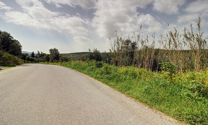 RECTANGULAR PLOT NEXT TO A RUNNING STREAM