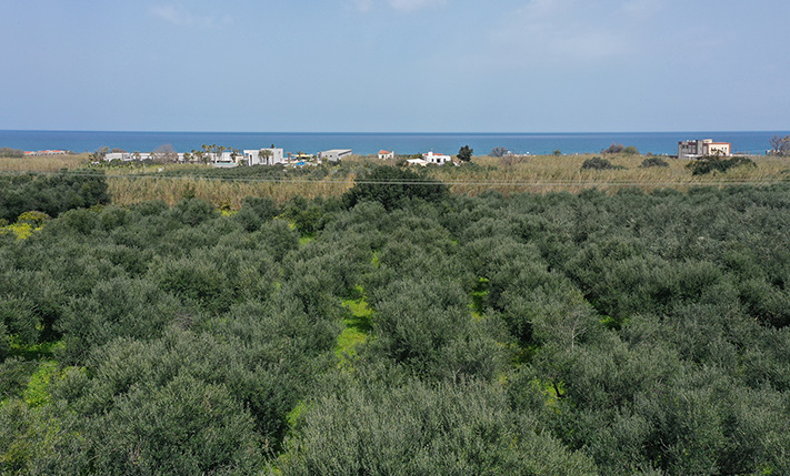 NORTH-FACING LAND WITH UNOBSTRUCTED SEA VIEWS