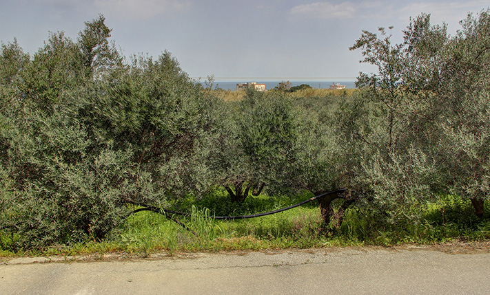 NORTH-FACING LAND WITH UNOBSTRUCTED SEA VIEWS