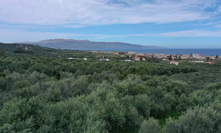 NORTH ORIENTATION FACING THE SEA