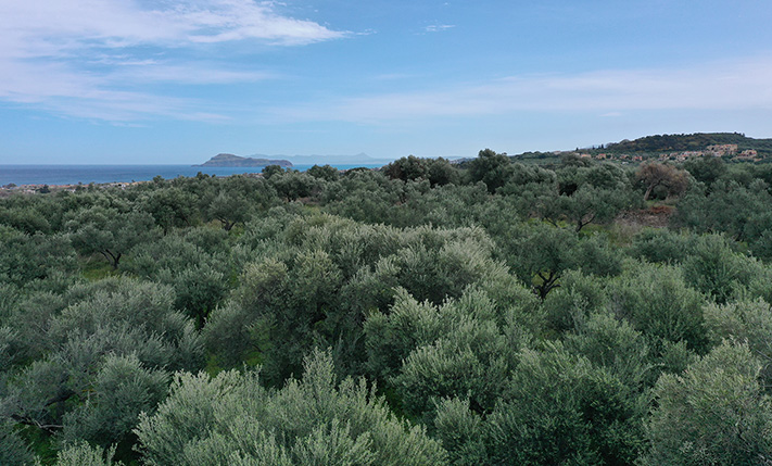 ΒΟΡΕΙΟΣ ΠΡΟΣΑΝΑΤΟΛΙΣΜΟΣ & ΘΕΑ ΘΑΛΑΣΣΑ