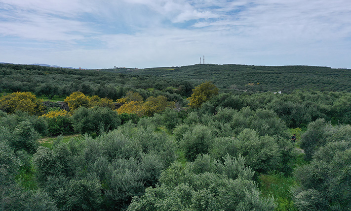 ΒΟΡΕΙΟΣ ΠΡΟΣΑΝΑΤΟΛΙΣΜΟΣ & ΘΕΑ ΘΑΛΑΣΣΑ