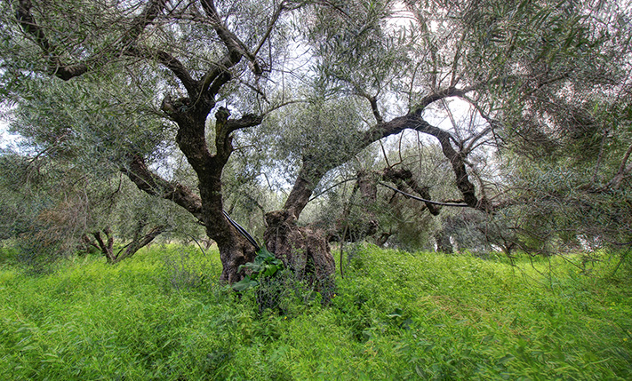 ΒΟΡΕΙΟΣ ΠΡΟΣΑΝΑΤΟΛΙΣΜΟΣ & ΘΕΑ ΘΑΛΑΣΣΑ