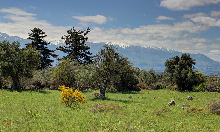 ΧΤΙΣΤΕ ΜΙΑ ΚΑΤΟΙΚΙΑ ΣΤΗ ΦΥΣΗ ΕΞΩ ΑΠΟ ΤΟΝ ΒΑΜΟ