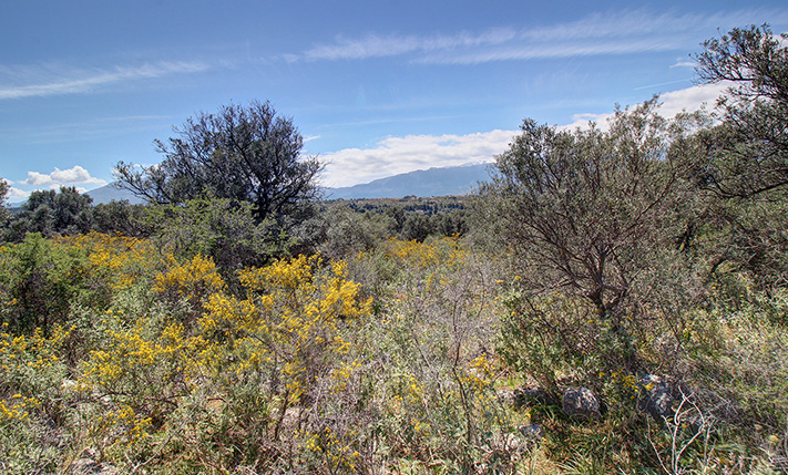 PARCEL FOR A COMPLEX IN TRANQUIL LOCATION