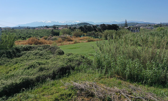 SQUARE PLOT NEAR THE BEACH