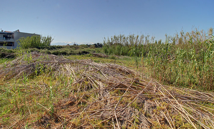SQUARE PLOT NEAR THE BEACH