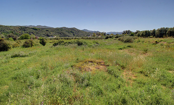 ΟΡΘΟΓΩΝΙΟ ΜΕ ΝΟΤΙΟΑΝΑΤΟΛΙΚΟ ΠΡΟΣΑΝΑΤΟΛΙΣΜΟ