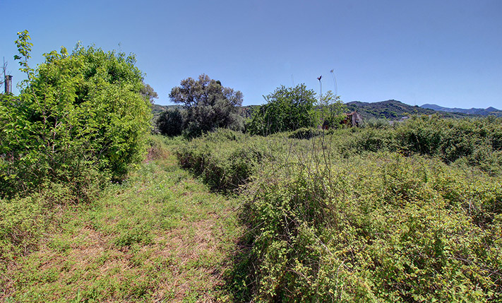 RECTANGULAR PLOT WITH A SOUTHEAST ORIENTATION