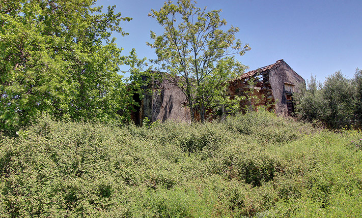 ΕΚΤΑΣΗ ΜΕ ΕΠΑΓΓΕΛΜΑΤΙΚΗ ΔΟΜΗΣΗ ΣΤΙΣ ΒΟΥΚΟΛΙΕΣ
