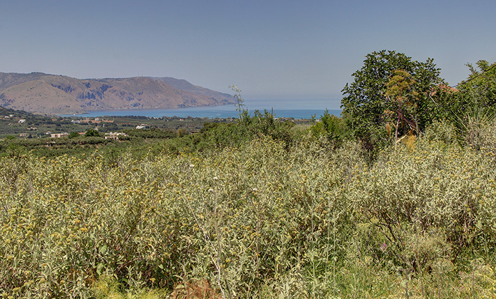 PARCEL WITH SEA & LAKE VIEWS SUITABLE FOR HOTEL