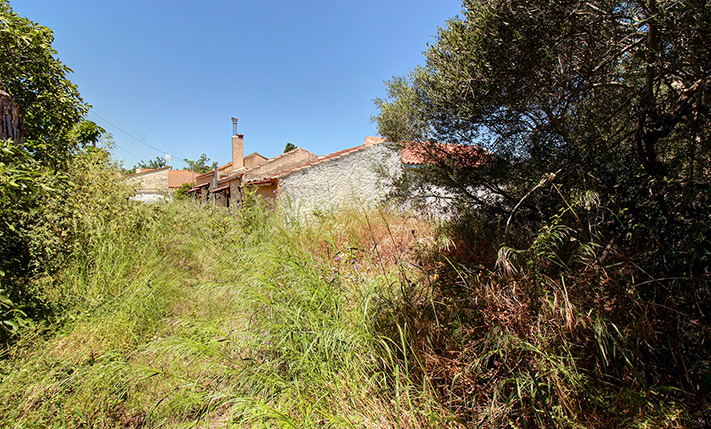 WITH LARGE OLIVE TREES IN THE CENTRE OF ARMENOI
