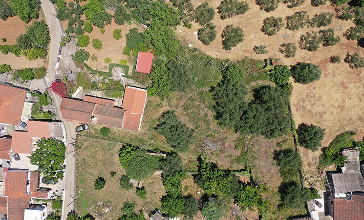 ΣΤΟ ΚΕΝΤΡΟ ΤΩΝ ΑΡΜΕΝΩΝ ΜΕ ΜΕΓΑΛΑ ΕΛΑΙΟΔΕΝΤΡΑ