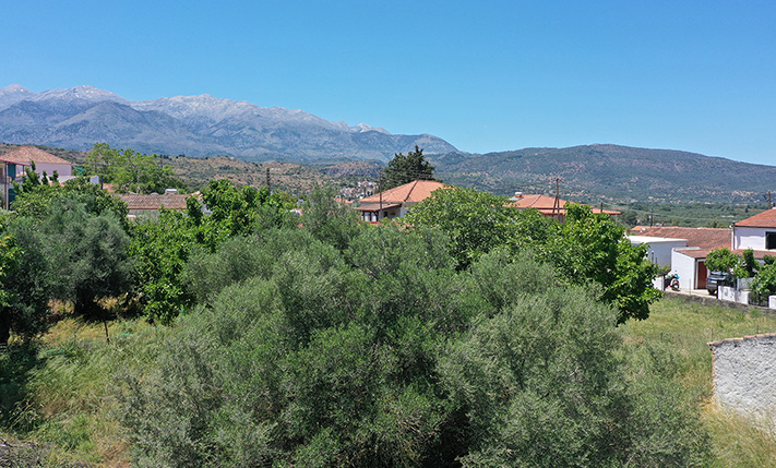 WITH LARGE OLIVE TREES IN THE CENTRE OF ARMENOI