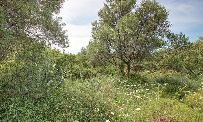 LAND MIT GENEHMIGUNG FÜR 2 HÄUSER & STADTNAH
