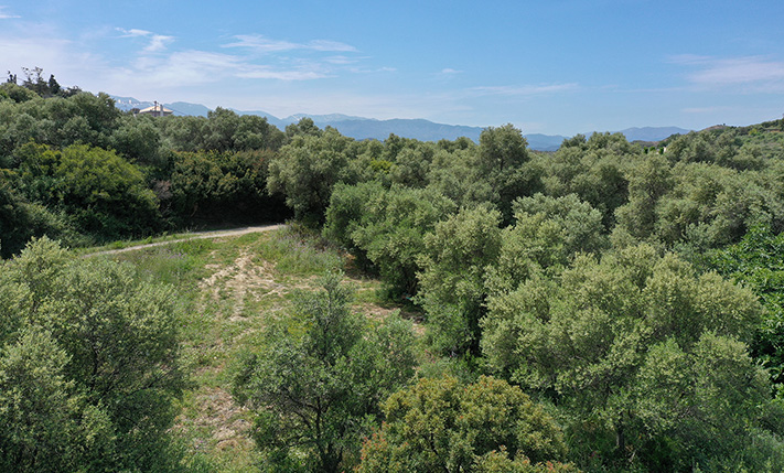 LAND WITH A PERMIT FOR 2 HOUSES NEAR THE CITY