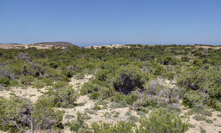 ΕΥΚΟΛΗ ΠΡΟΣΒΑΣΗ ΔΙΠΛΑ ΣΤΟ ΕΛΙΚΟΔΡΟΜΙΟ