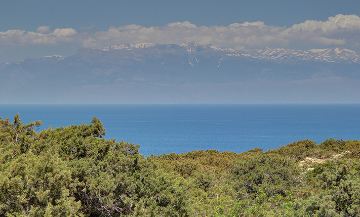PARCEL ON AN ASPHALT ROAD NEAR SARAKINIKO BEACH