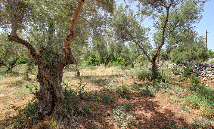 ΟΙΚΟΠΕΔΟ ΣΤΟ ΓΑΒΑΛΟΧΩΡΙ ΜΕ ΔΟΜΗΣΗ 400 M2