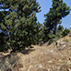PLS1362 - image 3 PLS1362 - image 3