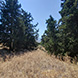 PLS1362 - image 4 PLS1362 - image 4