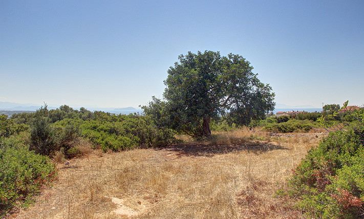 WOHNENTWICKLUNGSPAKET MIT MEERBLICK
