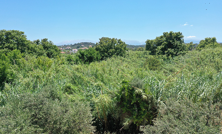 PERFECT FOR A SMALL COMPLEX ON A BUSY ROAD