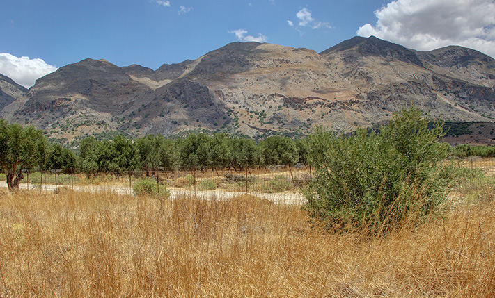 NEAR FRANGOKASTELO BEACH WITH A GOOD SHAPE