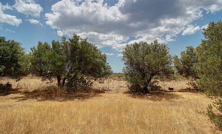 NEAR FRANGOKASTELO BEACH WITH A GOOD SHAPE