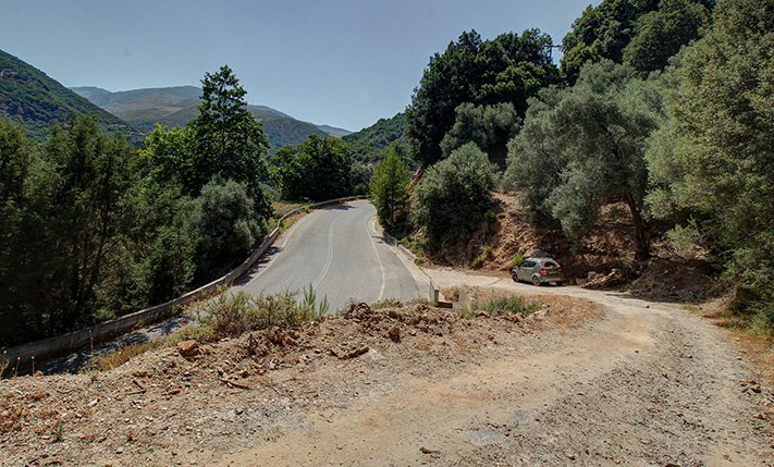 OLIVE GROVE IN THE MOUNTAINS WITH EASY ACCESS