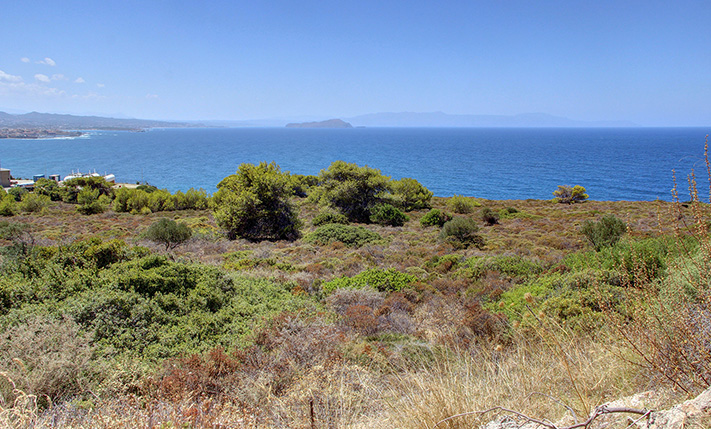 ΑΣΤΙΚΟ ΟΙΚΟΠΕΔΟ ΜΕ ΑΝΕΜΠΟΔΙΣΤΗ ΘΕΑ ΘΑΛΑΣΣΑ
