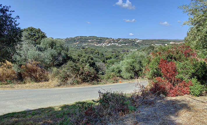 ΑΔΕΙΑ ΥΠΟ ΕΚΔΟΣΗ ΜΕ ΕΝΤΥΠΩΣΙΑΚΟ ΣΧΕΔΙΟ ΟΙΚΙΑΣ