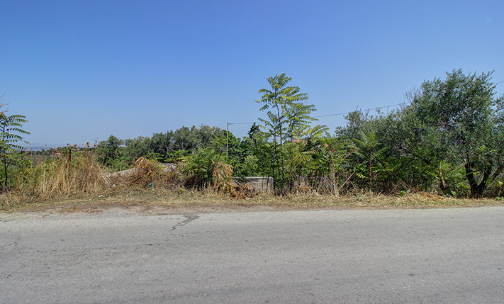 LARGE PLOT WITH A STONE STOREHOUSE IN VAMOS