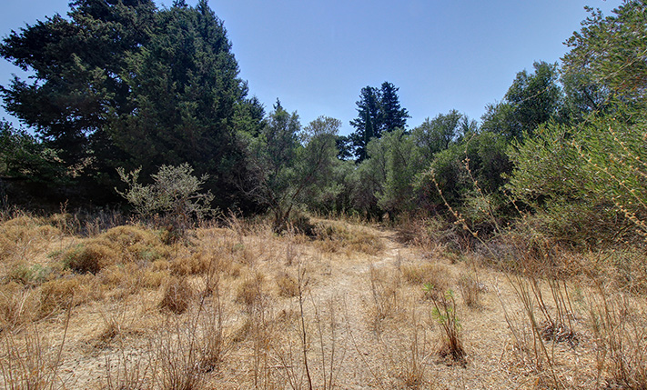 ΧΩΡΑΦΙ ΜΕ ΔΥΟ ΠΡΟΣΟΨΕΙΣ ΛΙΓΟ ΕΞΩ ΑΠΟ ΤΟΝ ΦΡΕ