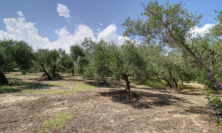 ΓΙΑ ΟΙΚΙΣΤΙΚΟ ΣΥΓΚΡΟΤΗΜΑ ΣΤΟΝ ΑΠΟΚΟΡΩΝΑ