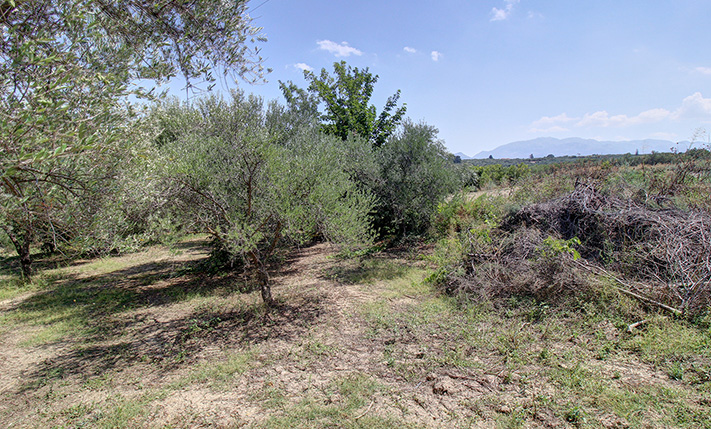 BUILD A RESIDENTIAL COMPLEX IN APOKORONAS