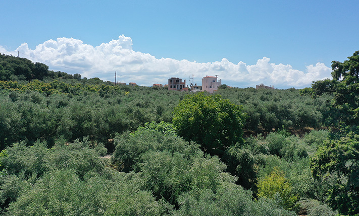 RECTANGULAR PLOT WITH SEA VIEWS & OLIVE TREES