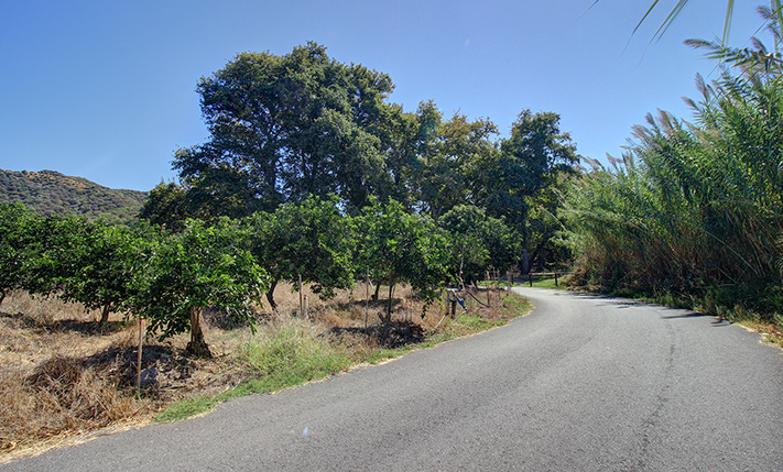 ΚΑΤΑΛΛΗΛΟ ΓΙΑ ΑΒΟΚΑΝΤΟ Η ΕΠΟΧΙΚΕΣ ΚΑΛΛΙΕΡΓΕΙΕΣ