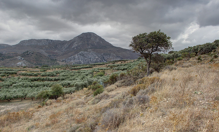 ΜΕ ΘΕΑ ΠΡΟΣ ΤΑ ΦΑΛΑΣΑΡΝΑ & ΜΕ ΕΤΟΙΜΗ ΑΔΕΙΑ