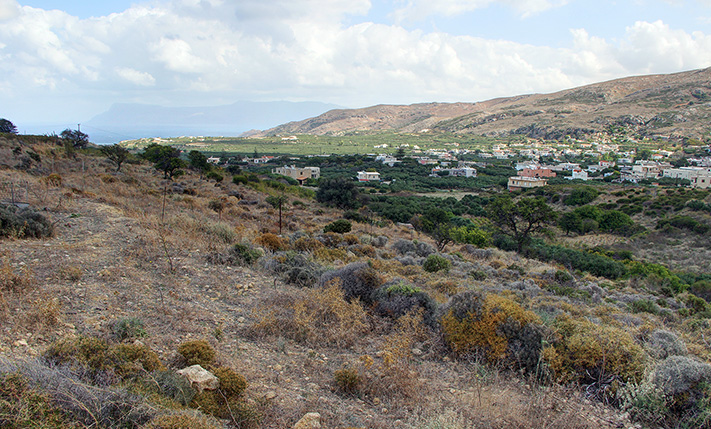 ΜΕ ΘΕΑ ΠΡΟΣ ΤΑ ΦΑΛΑΣΑΡΝΑ & ΜΕ ΕΤΟΙΜΗ ΑΔΕΙΑ
