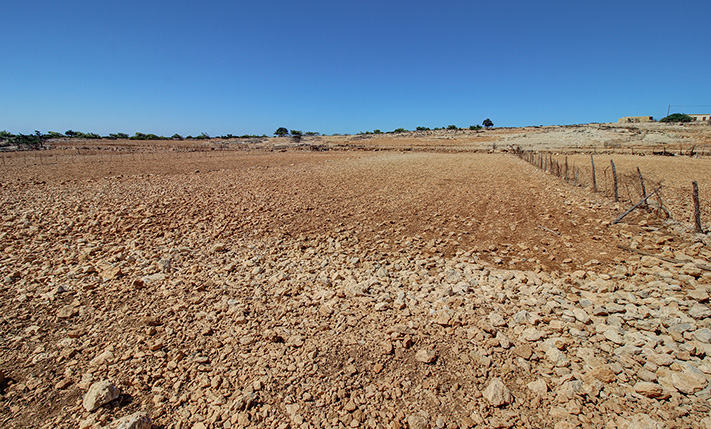 CULTIVABLE PLOT OF LAND, NON-BUILDABLE & FLAT