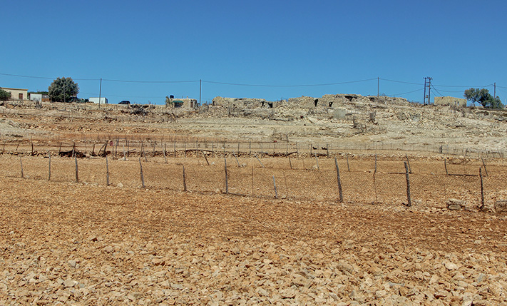 CULTIVABLE PLOT OF LAND, NON-BUILDABLE & FLAT